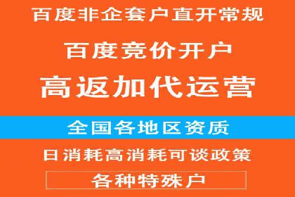 深度解析：百度竞价包年推广的五大成功案例